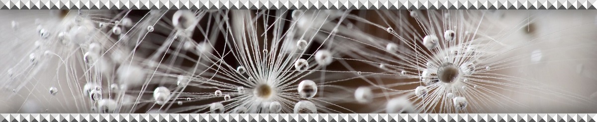 Джерси () Бордюр 95*600 белый (1*20) Березакерамика