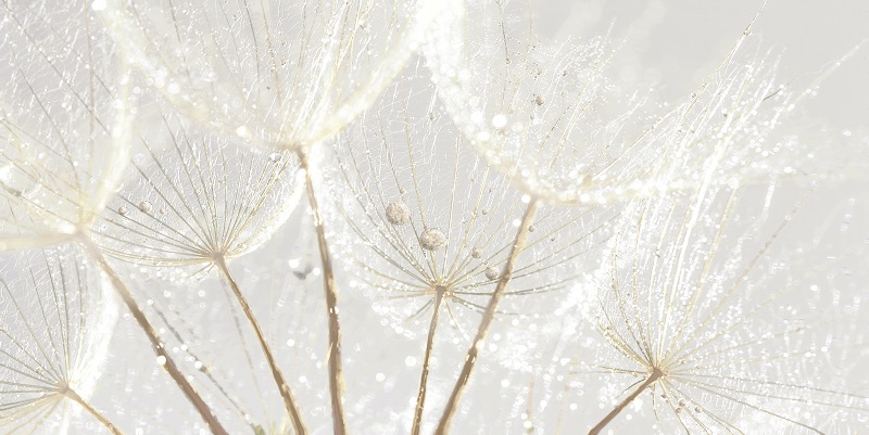 Джаз Декор 250*500 (1*7) VINCHI