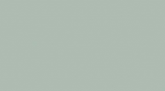 Мерц ПО 250*450 зеленая  (0,113*13=1,46*51) Ласселсбергер