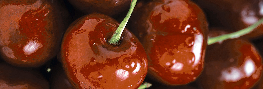 Вишни Декор 100*300 (1*16)