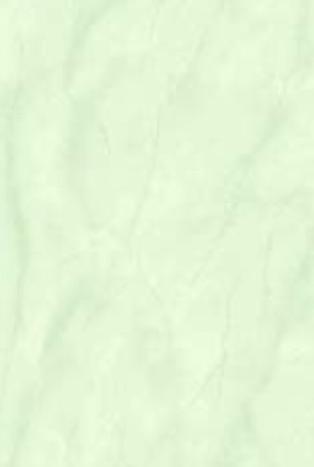 Венера зеленая верх 01 ПО 200*300 (0,06*24=1,44*64) Шахтинская плитка