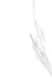 Фиеста белый верх 01 ПО 250*400 (0,1*14=1,4*54) (1сорт) Шахтинская