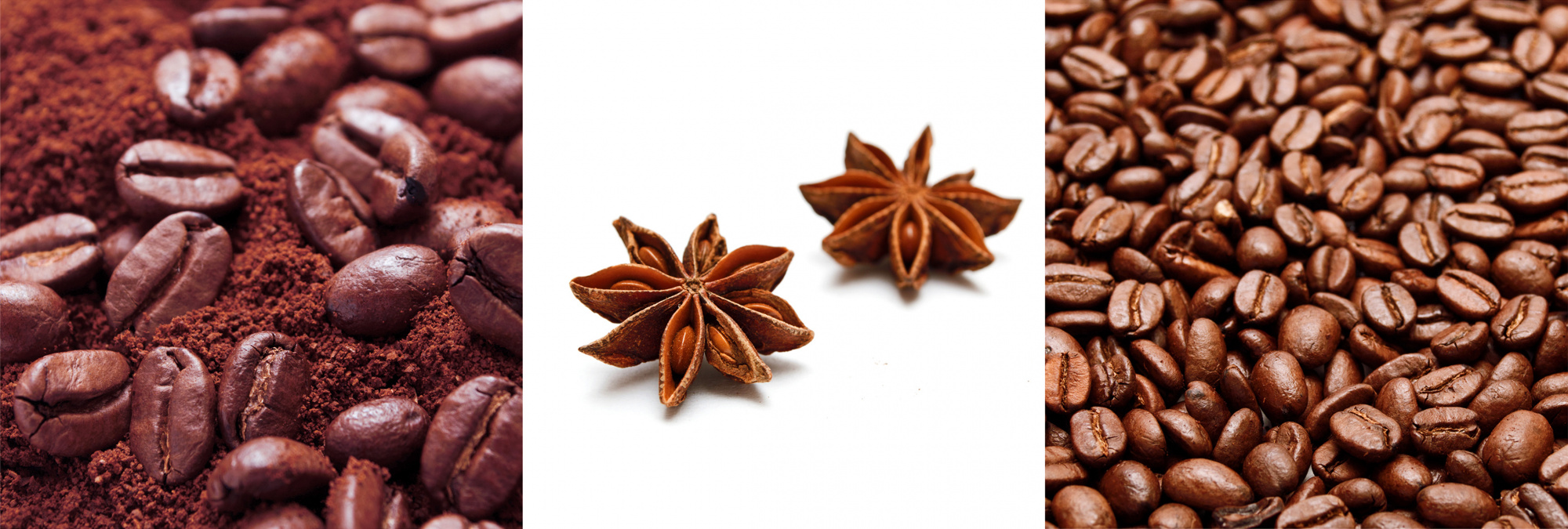 Coffe 3 Декор (Гвоздика) 100*300 (1*20)