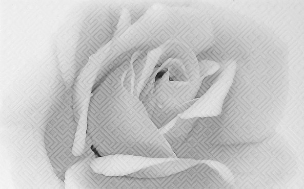 Камелия черная 02 Декор 250*400 (1*13) Шахтинская плитка