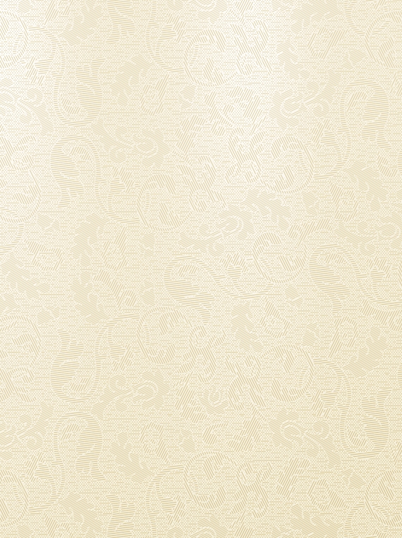 Катар ПО 250*330 белый (0,083*18=1,49*54) Ласселсбергер