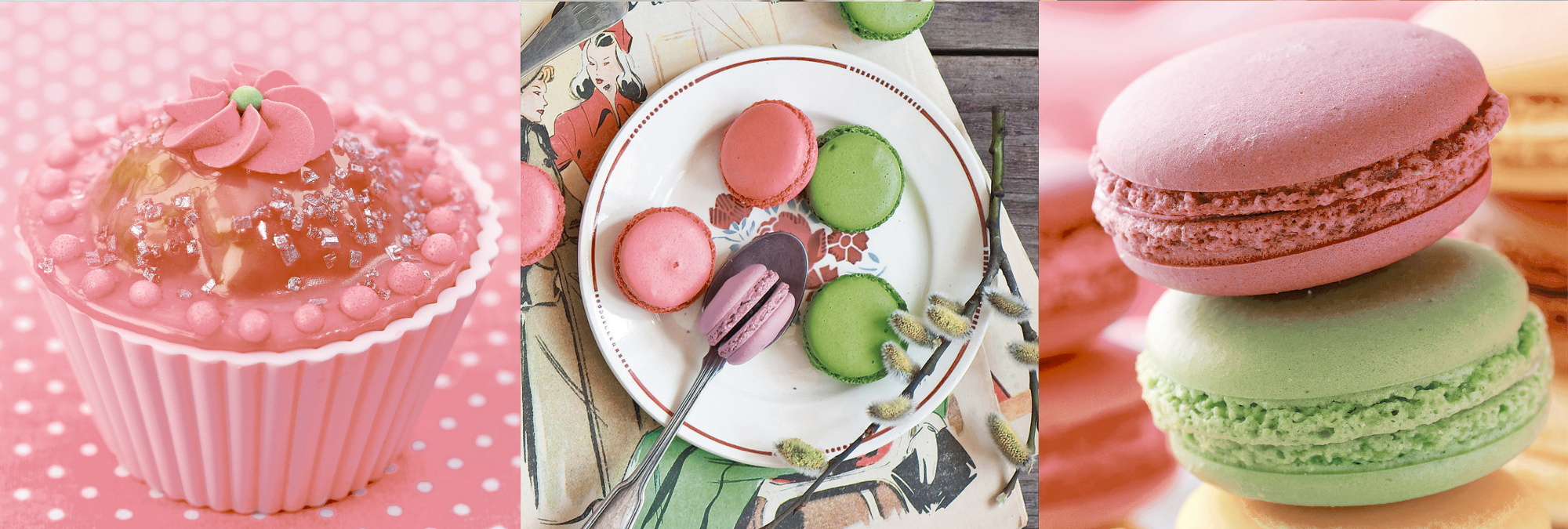 Бискотти 1 Декор (Верба) 100*300 (1*16)