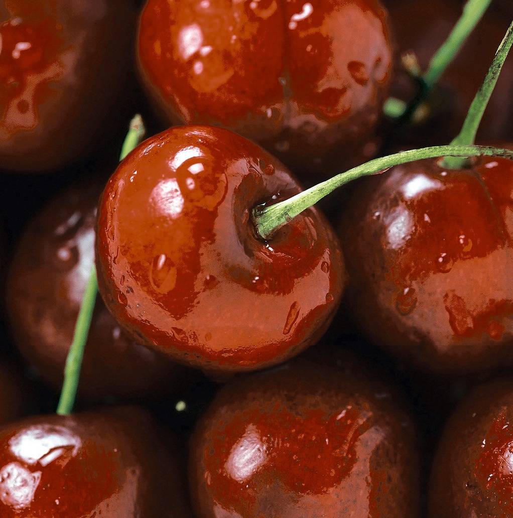 Вишни Декор-панно 300*300 (1 компл = 3 шт) (1*5)