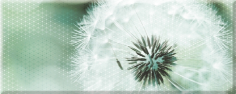 Концепт 7О Декор-панно тип 2 200*500 Керамин