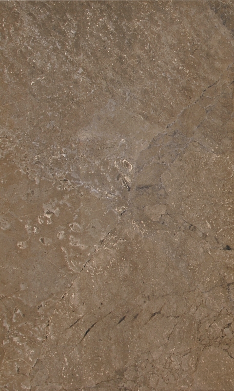 Elegance beige wall 02 300*500 1 сорт (0.15*8=1.2*54) Шахтинская