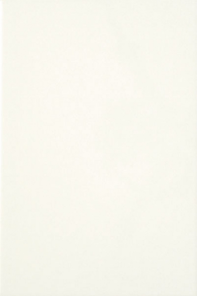 Белая Матовая Люкс ПО 300*600 (0,18*9=1,62*32) Керамика-Волга