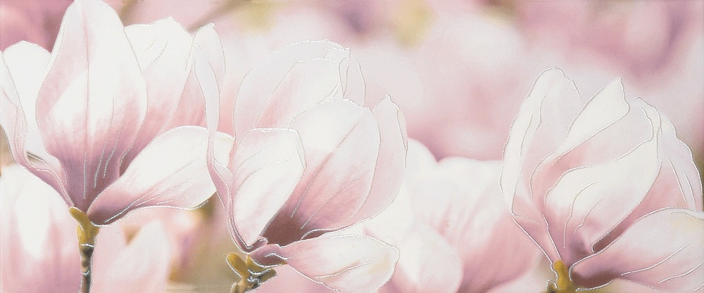 Rapsodia violet decor 01 250*600 (1*6) Gracia Ceramica