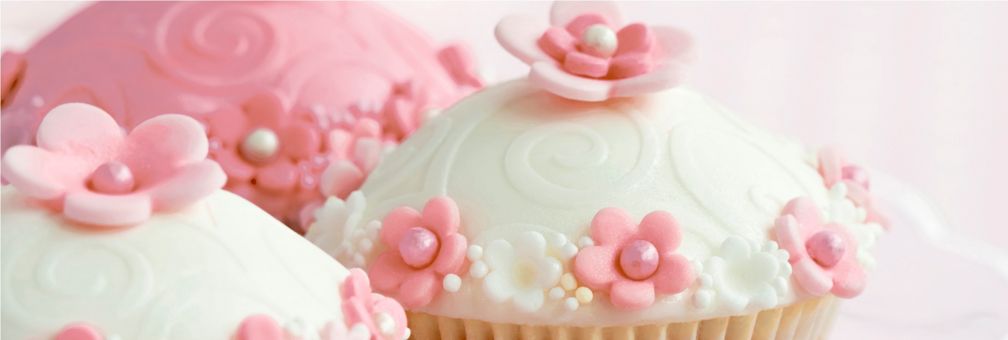 Капкейки 2 Декор 100*300 (1*16)