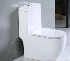 Teramo Унитаз напольный моноблок безободковый с быстросъемным сиденьем микролифт VT20114H Vinchi