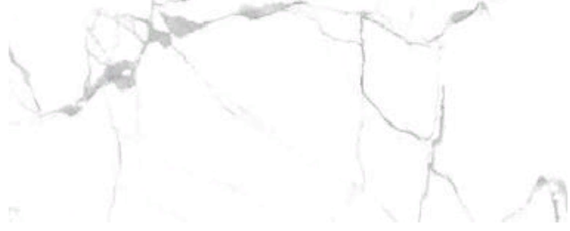 Sathvario noble КГ высок.глянц.1200*600*8 (0,72*2=1,44)ИНДИЯ