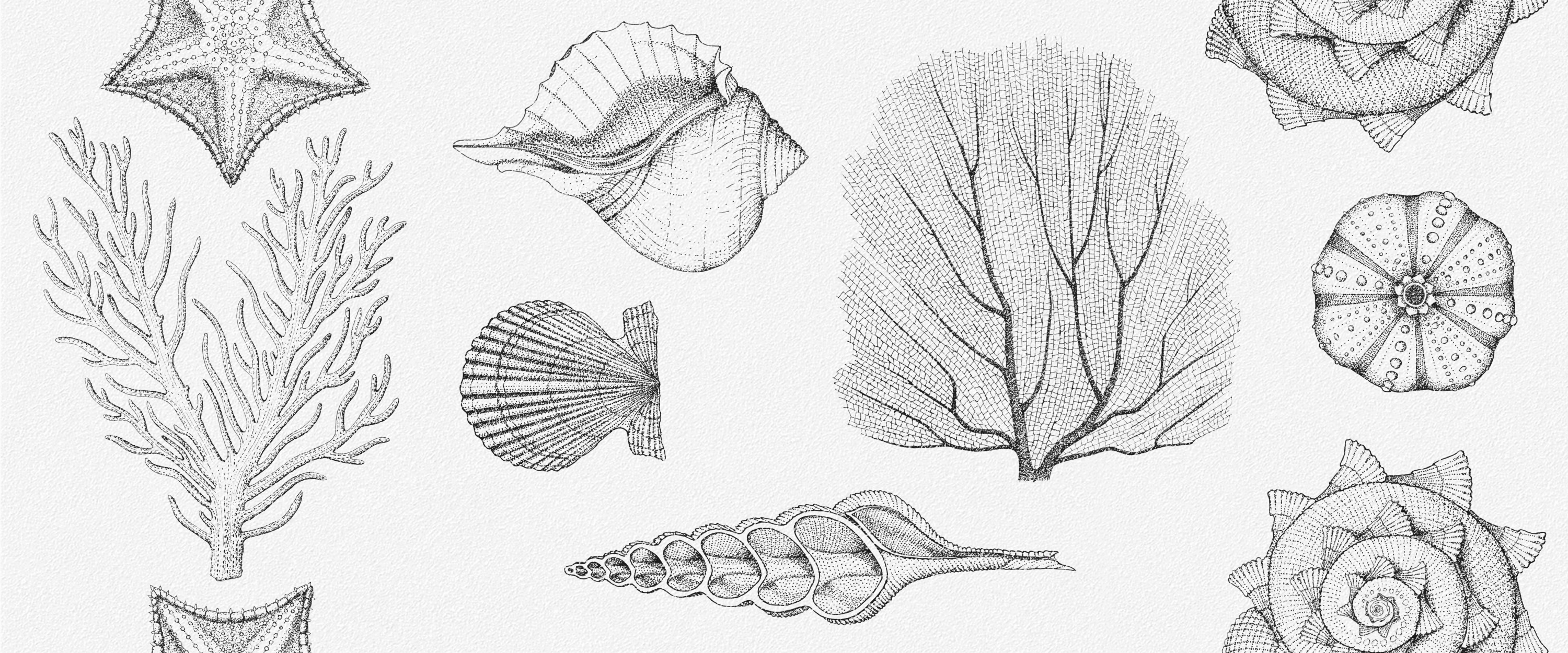 Aqua white wall 01 250х600 (0,15*8=1,2*48) (1-й сорт) Gracia Ceramica