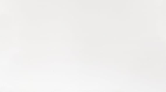 Копенгаген ПО 250*450 белый (0,113*13=1,46*51) Ласселсбергер